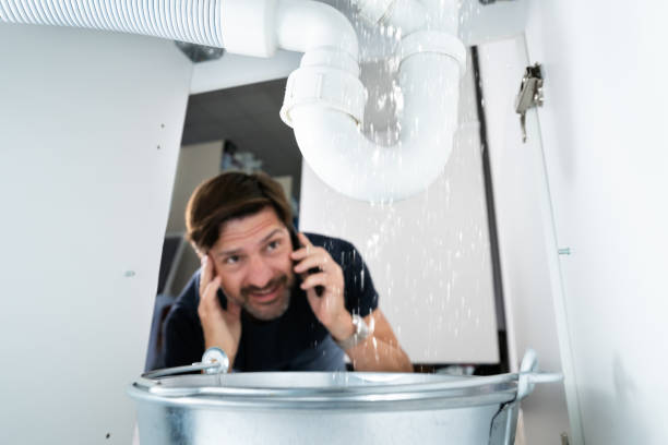 Best Shower Repair Services  in Pomona Park, FL
