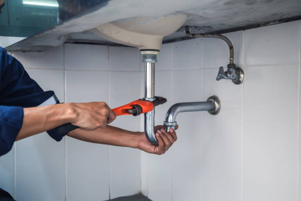 Best Affordable Plumbing Services  in Pomona Park, FL