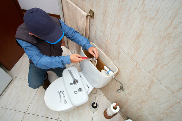 Best Local Plumber Services  in Pomona Park, FL