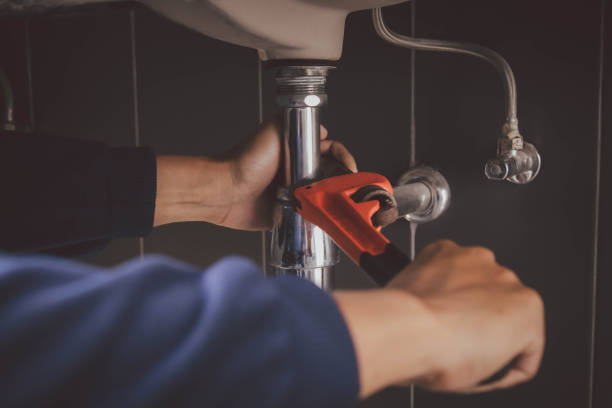 Best Commercial Plumbing Services  in Pomona Park, FL