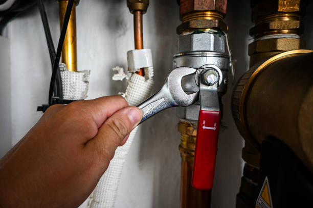 Best Sewer Line Repair  in Pomona Park, FL